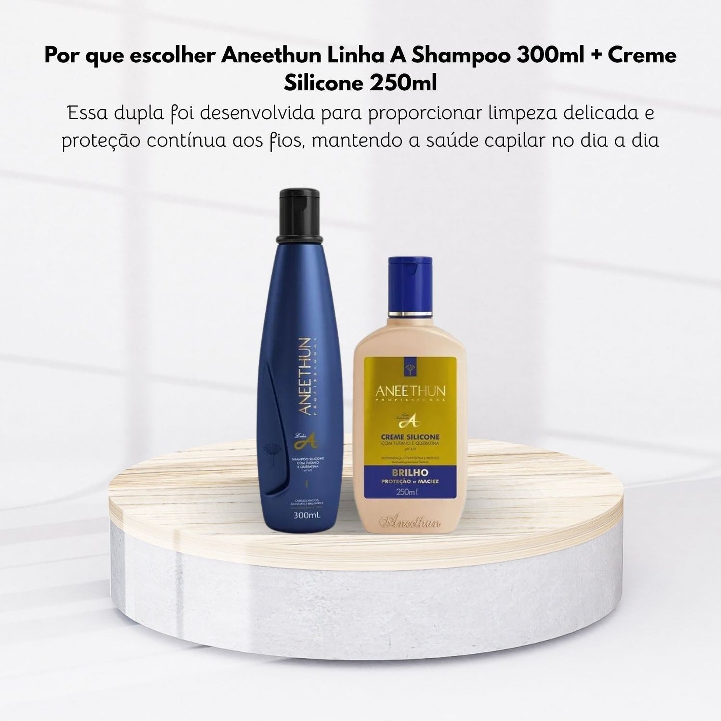 Kit Aneethun Linha A Shampoo 300 ml + Creme Silicone 250 ml