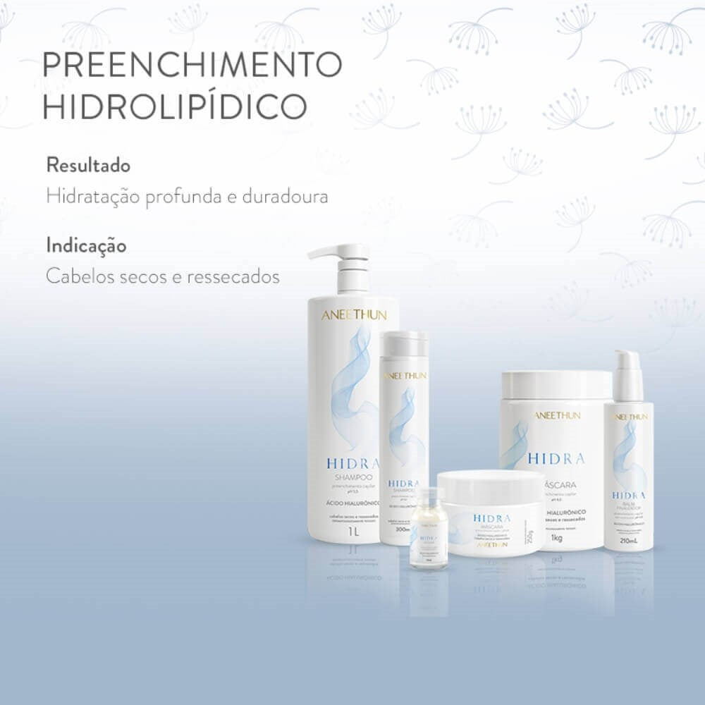 Kit Aneethun Hidra Shampoo 300 ml + Finalizador 210 ml