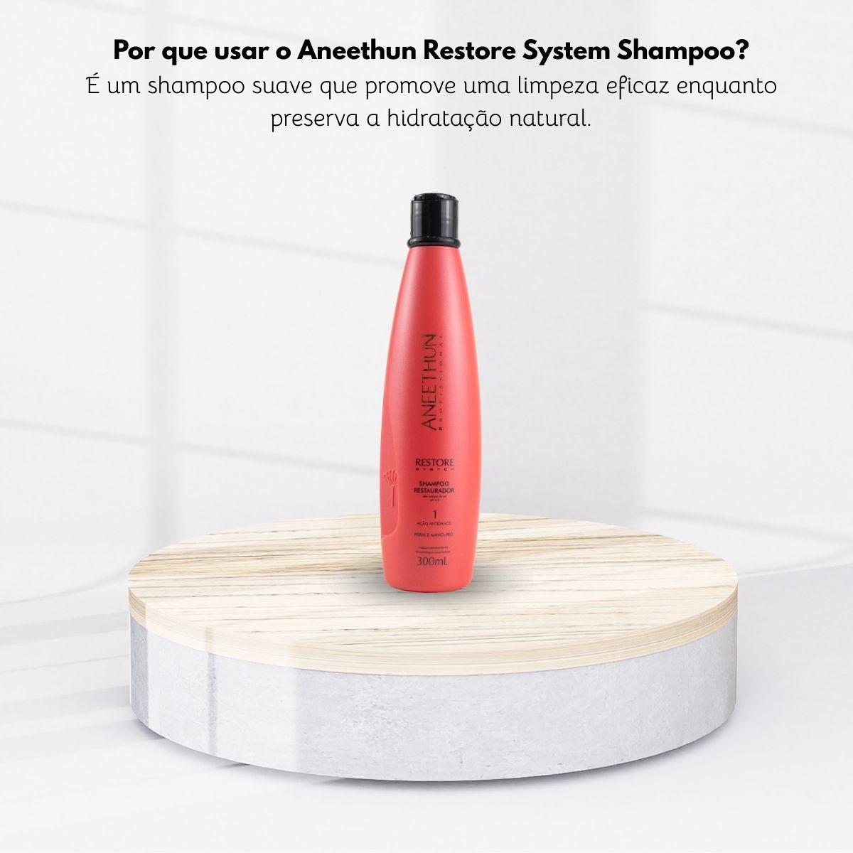 Shampoo Aneethun Restore Restaurador 300 ml