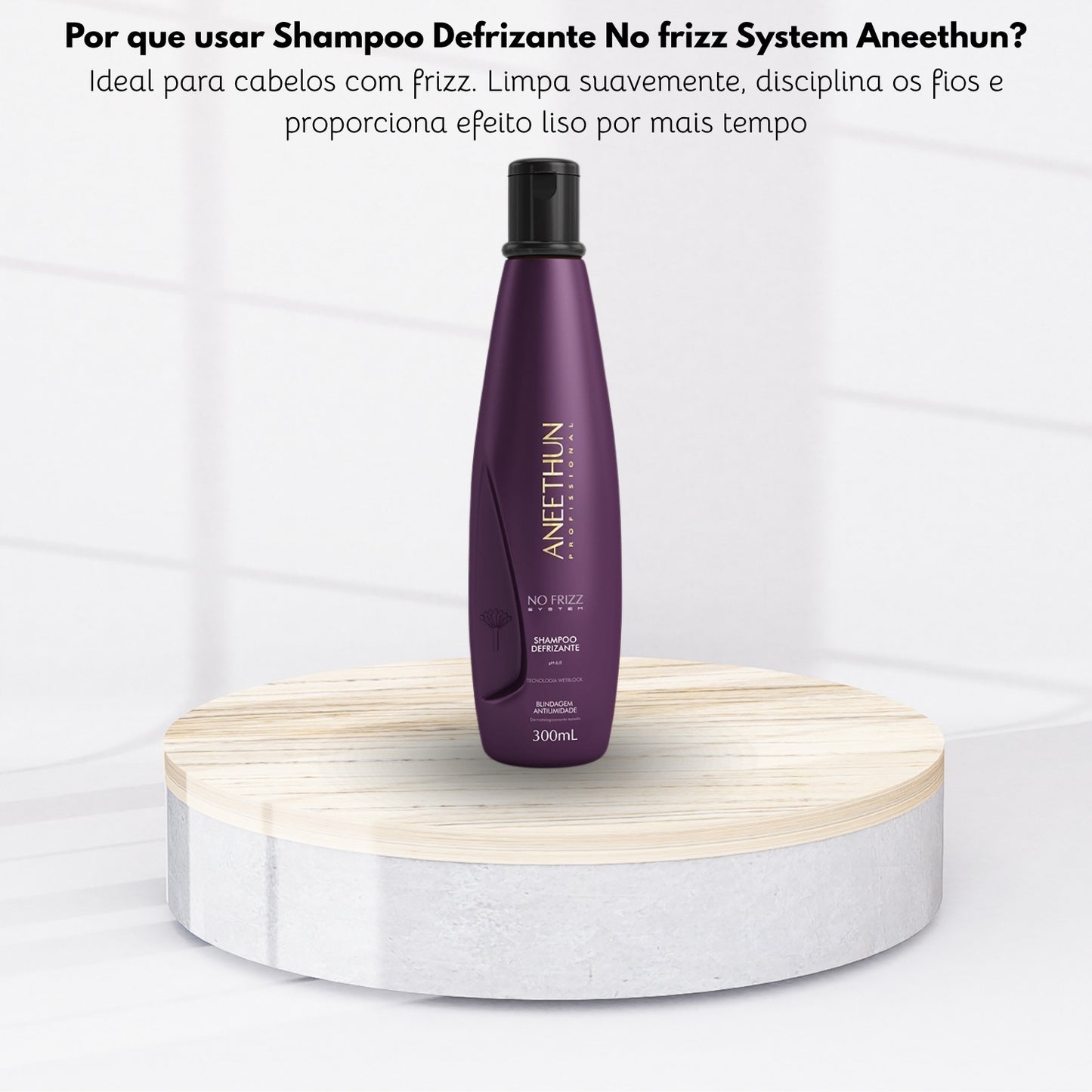 Shampoo Aneethun No Frizz Defrizante 300 ml