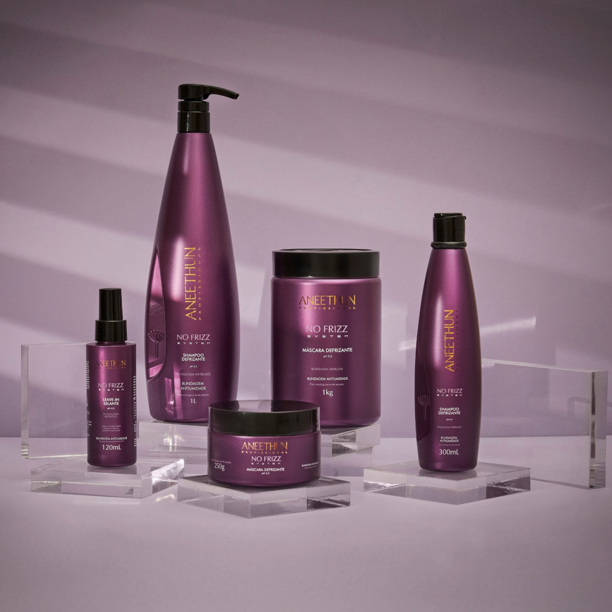 Shampoo Aneethun No Frizz Defrizante 300 ml