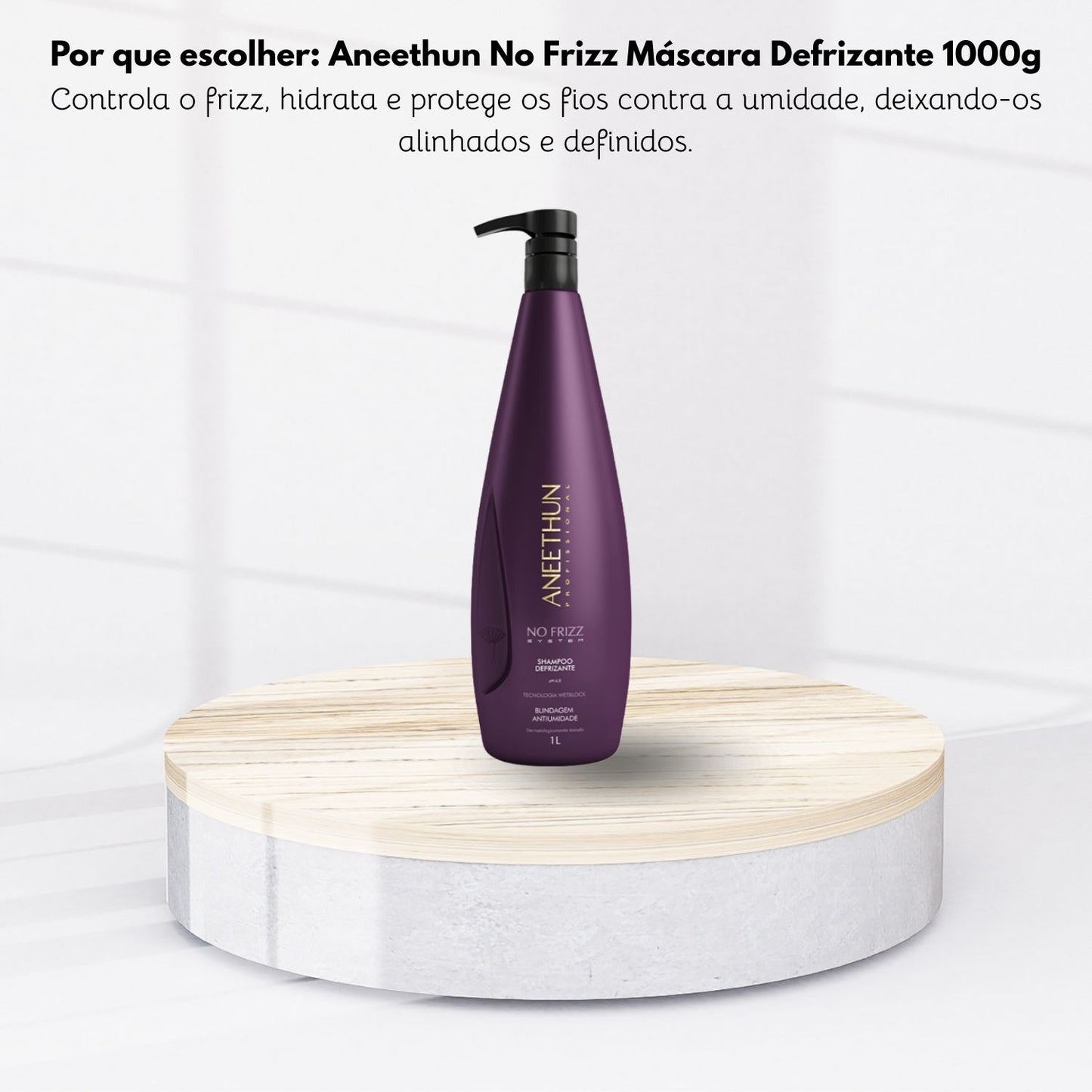 Shampoo Aneethun No Frizz Defrizante 1 Litro