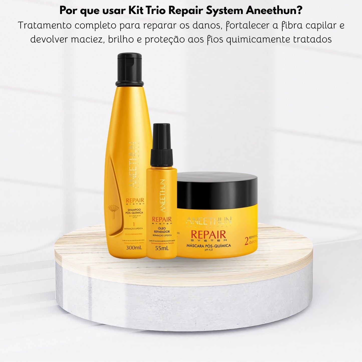Kit Aneethun Repair Shampoo 300 ml + Máscara 250 g + Oleo Reparador 55 ml