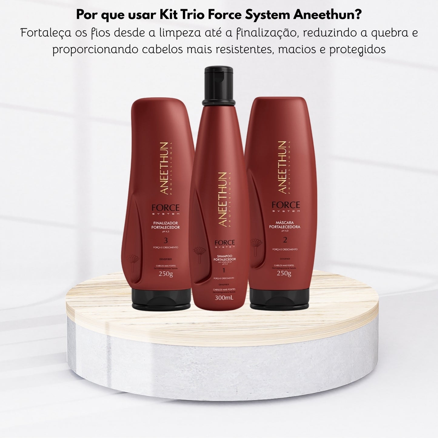 Kit Aneethun Force Shampoo 300 ml + Máscara 250 g + Finalizador 250 g