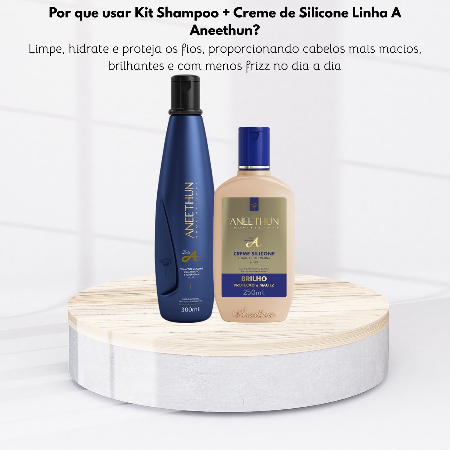 Kit Aneethun Linha A Shampoo 300 ml + Creme Silicone 250 ml