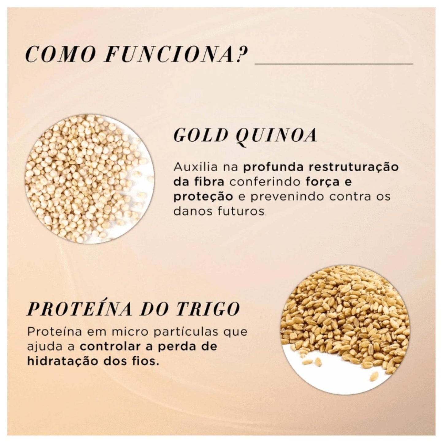 Kit Loreal Absolut Repair Gold Quinoa Shampoo Máscara Oil