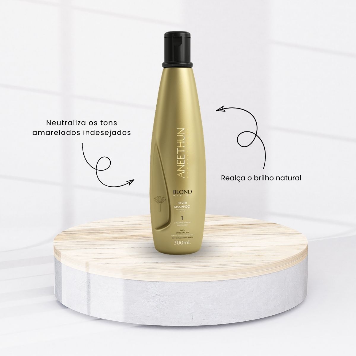 Kit Aneethun Blond Shampoo Silver 300 ml + Máscara Iluminadora 250 g