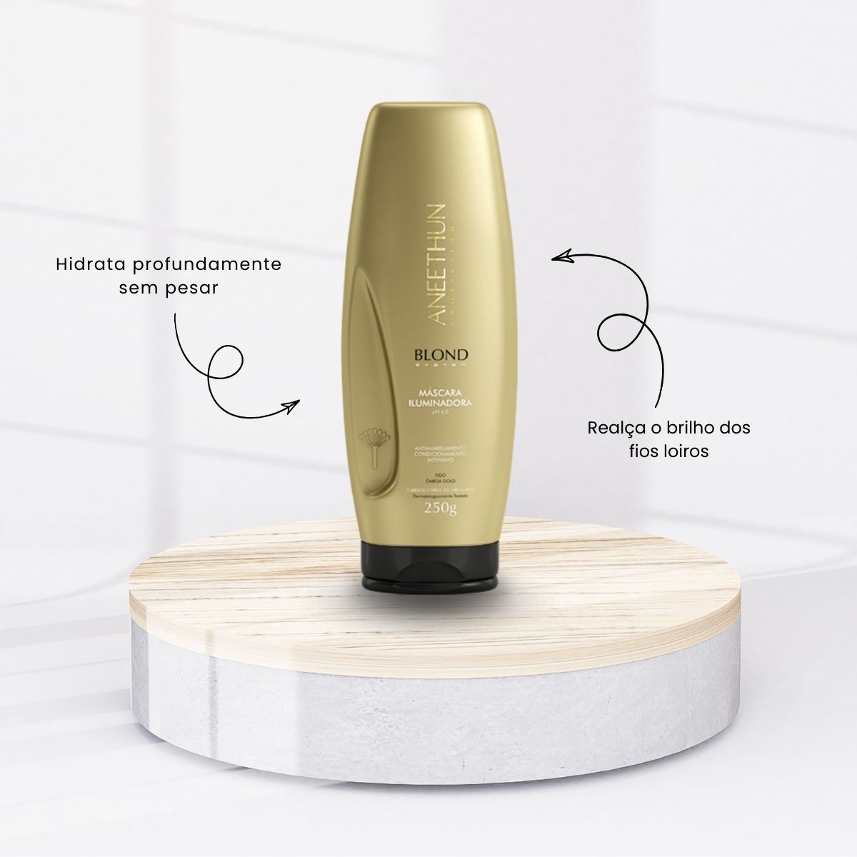 Kit Aneethun Blond Shampoo Silver 300 ml + Máscara Iluminadora 250 g