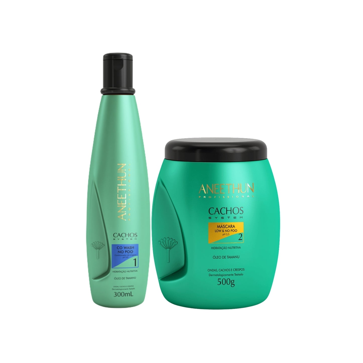 Kit Aneethun Cachos Co Wash 300 ml + Máscara 500 g para Cabelo Cacheado