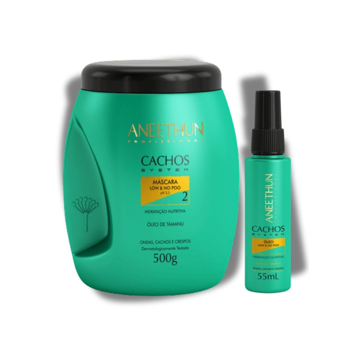 Kit Aneethun Cachos Máscara 500 g + Oleo Hidratação 55 ml para Cabelo Cacheado