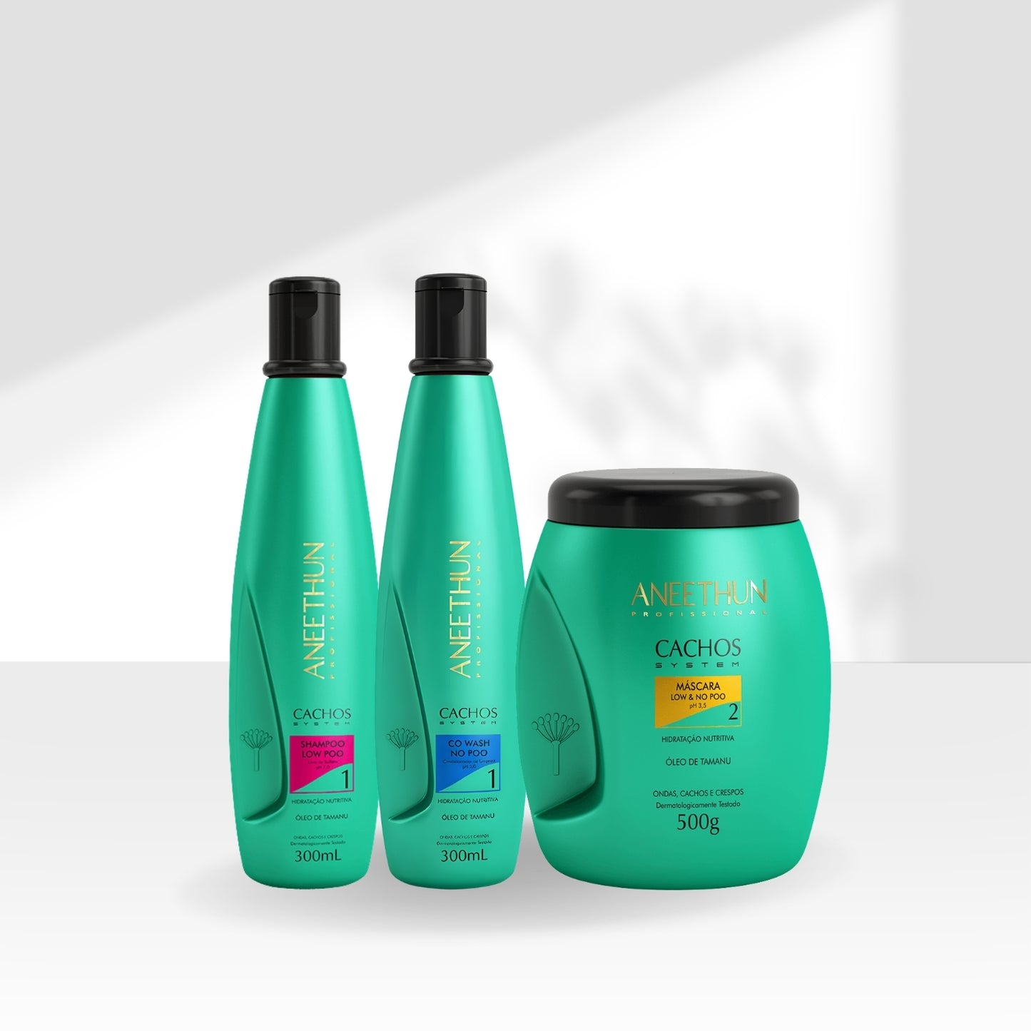 Kit Aneethun Cachos Shampoo 300 ml + Co Wash 300 ml + Máscara 500 g para Cabelo Cacheado