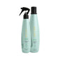 Kit Aneethun Detox Shampoo 300 ml + Loção Ice Scalp 150 ml