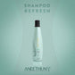 Shampoo Aneethun Detox Refresh 300 ml