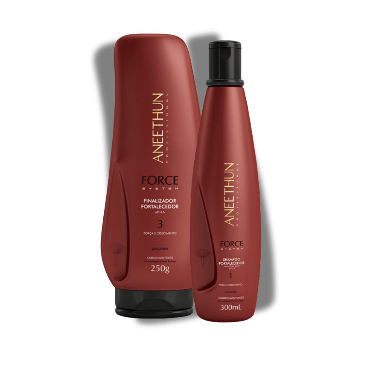 Kit Aneethun Force Shampoo 300 ml + Finalizador 250 g