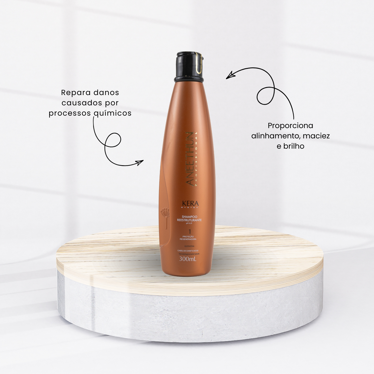Kit Aneethun Kera Shampoo Reestruturante 300 ml + Leave in 250 g