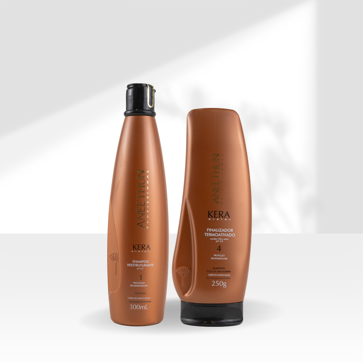 Kit Aneethun Kera Shampoo Reestruturante 300 ml + Leave in 250 g