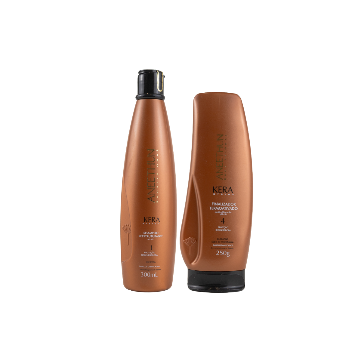 Kit Aneethun Kera Shampoo Reestruturante 300 ml + Leave in 250 g