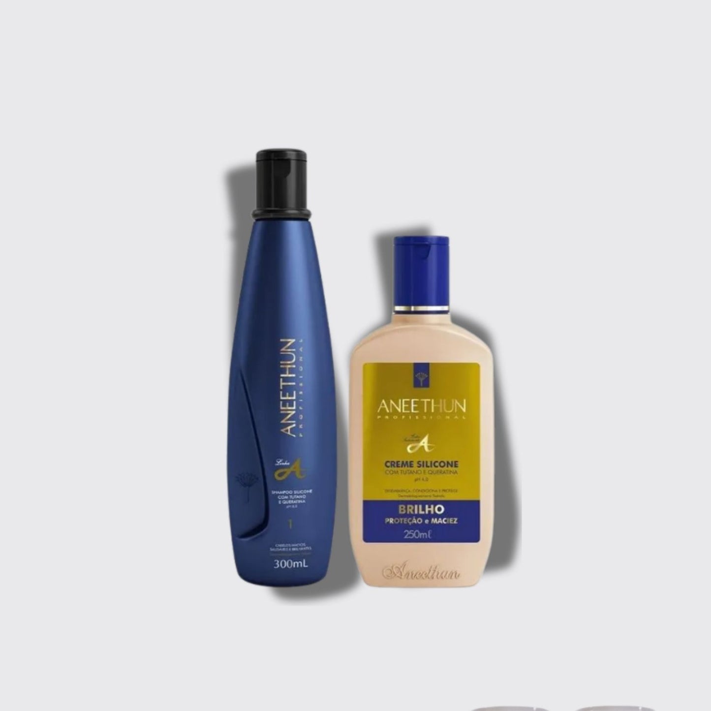Kit Aneethun Linha A Shampoo 300 ml + Creme Silicone 250 ml
