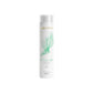Shampoo Aneethun Shampoo AntiQueda 300 ml