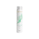 Shampoo Aneethun Shampoo AntiQueda 300 ml
