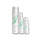 Kit Aneethun AntiQueda Trio (Shampoo, Bálsamo e Loção)