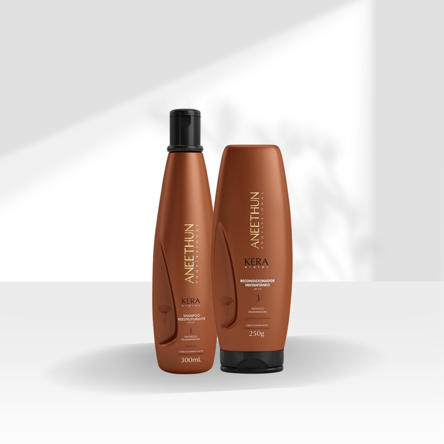 Kit Aneethun Kera Shampoo Reestruturante 300 ml + Máscara Condicionante 250 g