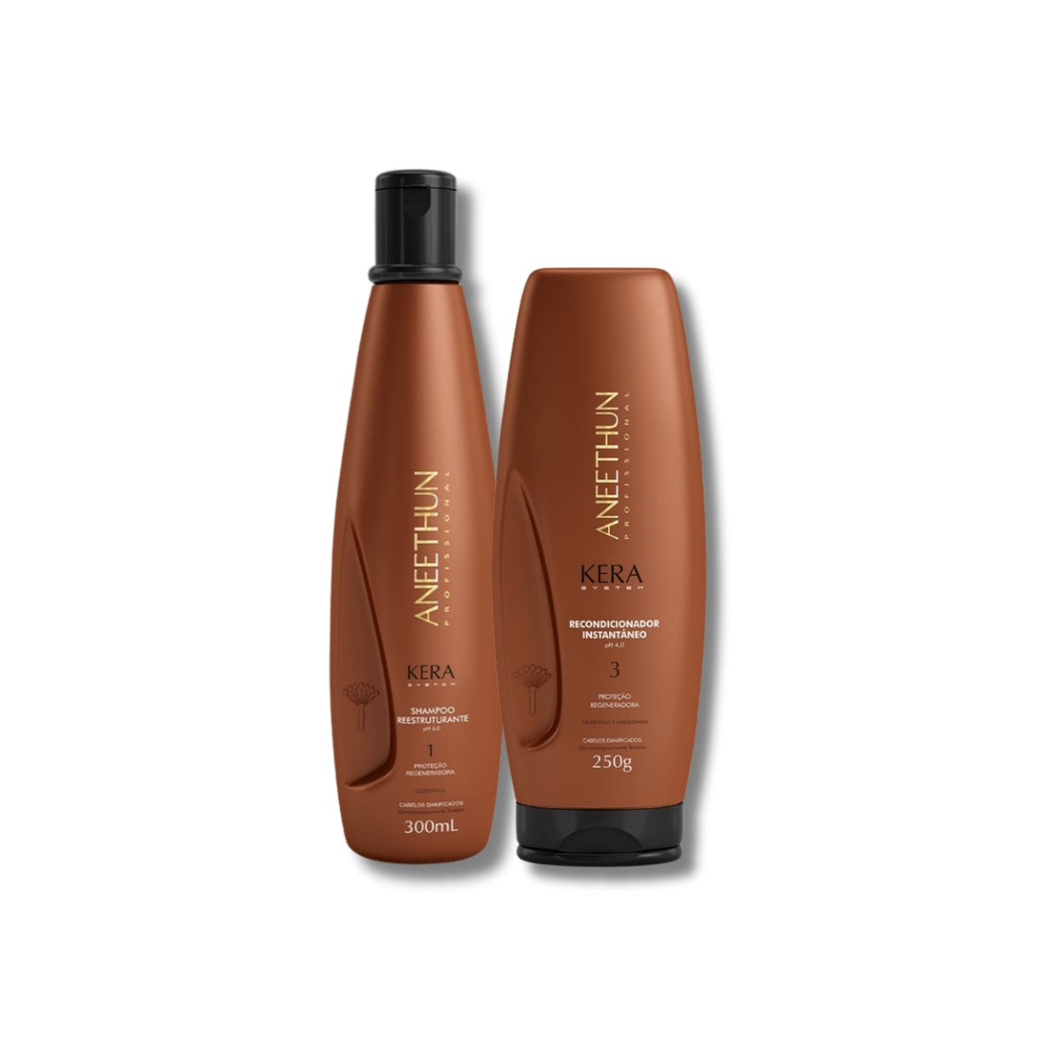 Kit Aneethun Kera Shampoo Reestruturante 300 ml + Máscara Condicionante 250 g