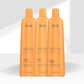 Kit Richée Argan e Ojon Escova Progressiva (3 x 1 Litro)