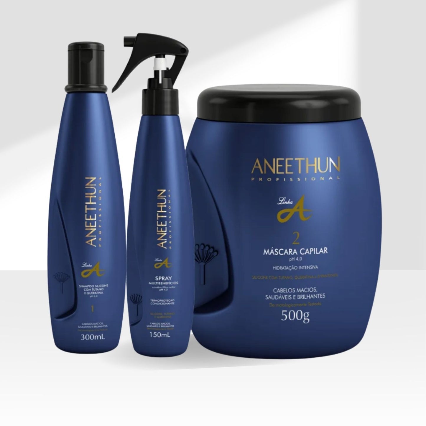 Kit Aneethun Linha A Shampoo 300 ml + Máscara 500 g + Spray 150 ml