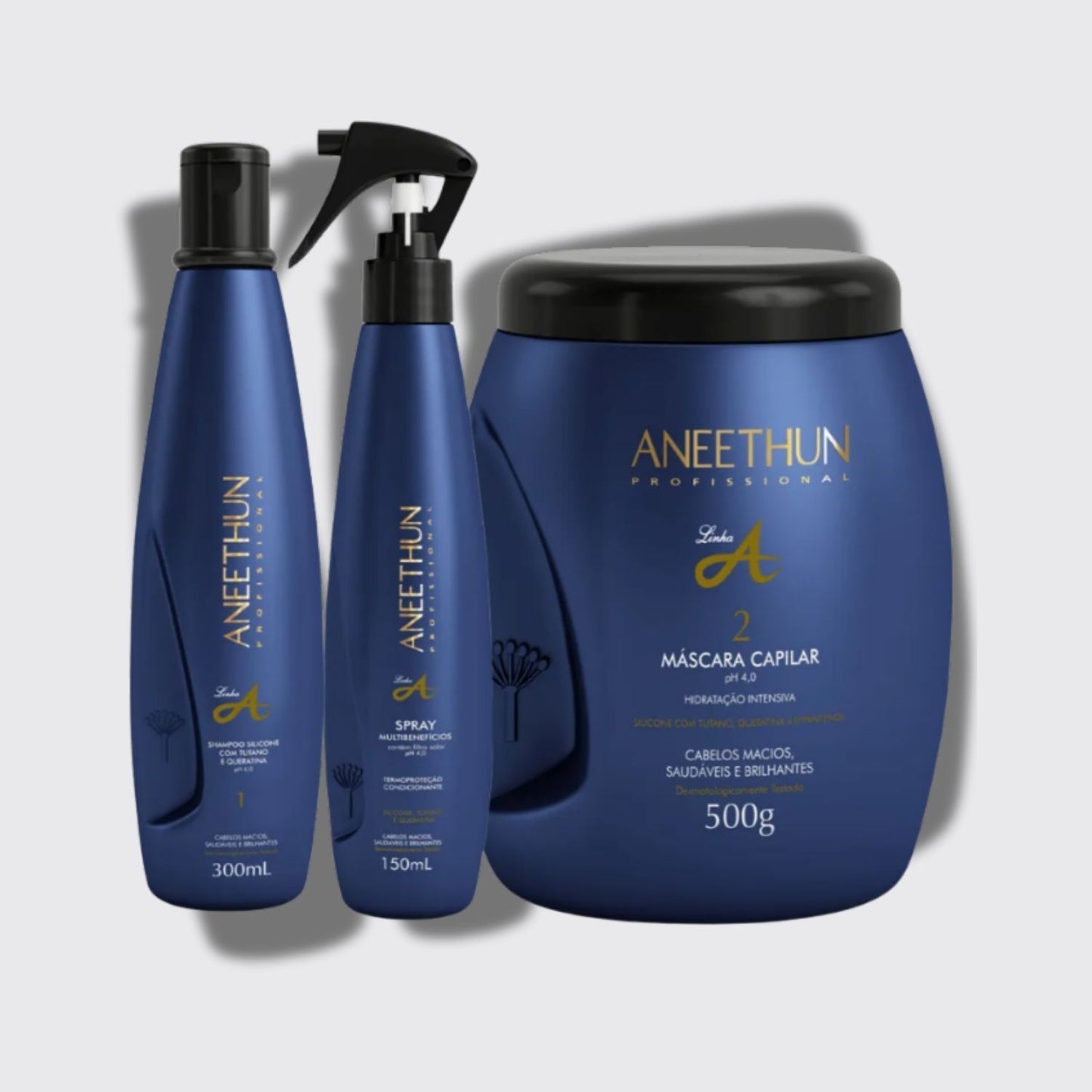 Kit Aneethun Linha A Shampoo 300 ml + Máscara 500 g + Spray 150 ml