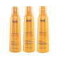 Kit Richée Argan e Ojon Shampoo 250 ml + Condicionador 250 ml + Leave-in 250 ml