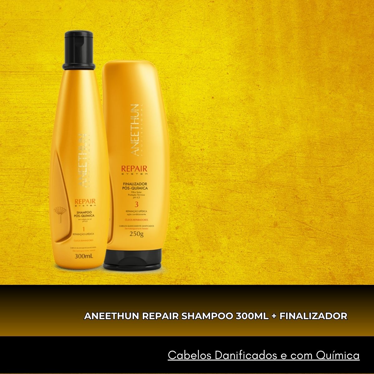 Kit Aneethun Repair Shampoo 300 ml + Finalizador 250 ml