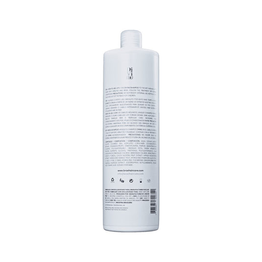 Shampoo Braé Divine 1 Litro