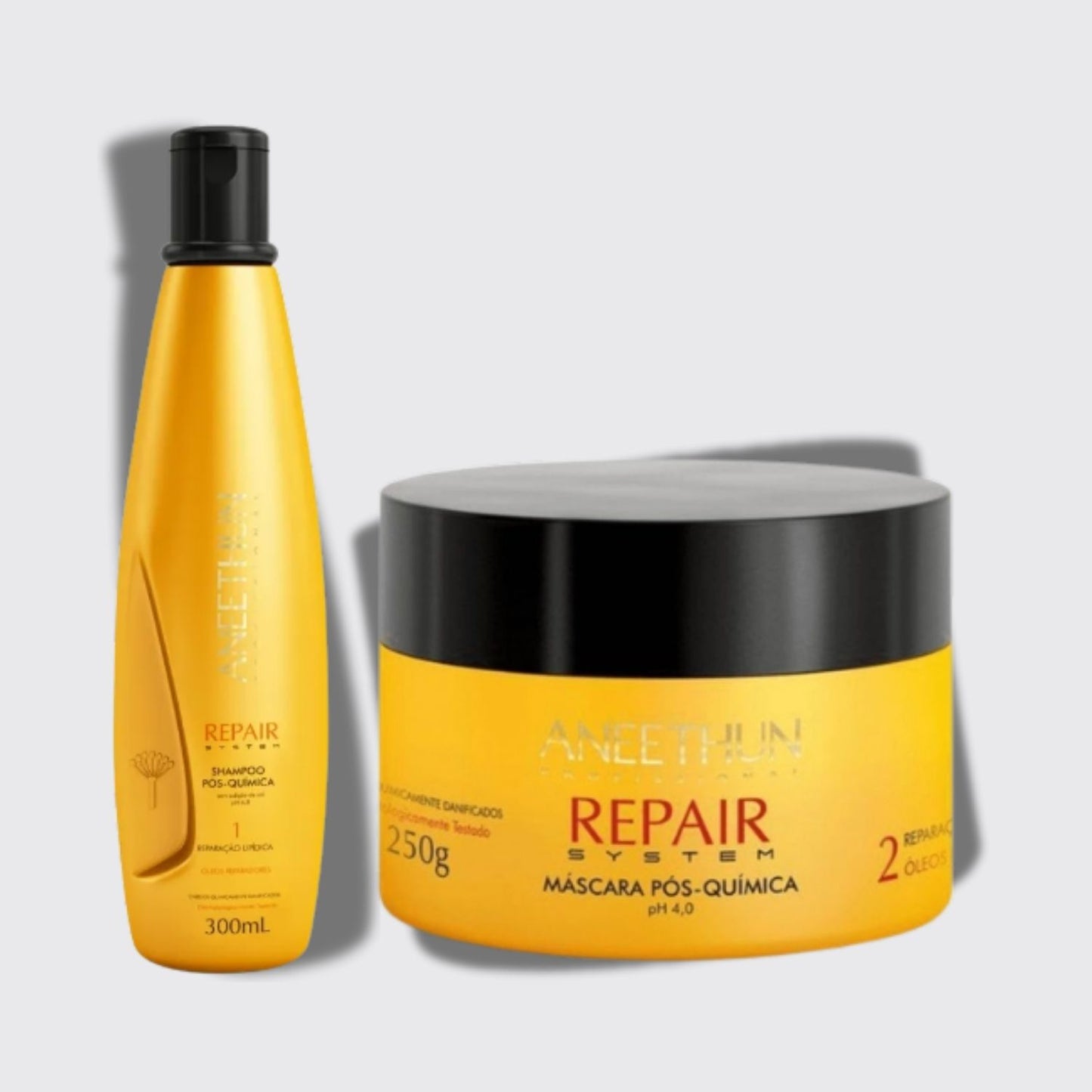 Kit Aneethun Repair Shampoo 300 ml + Máscara 250 g