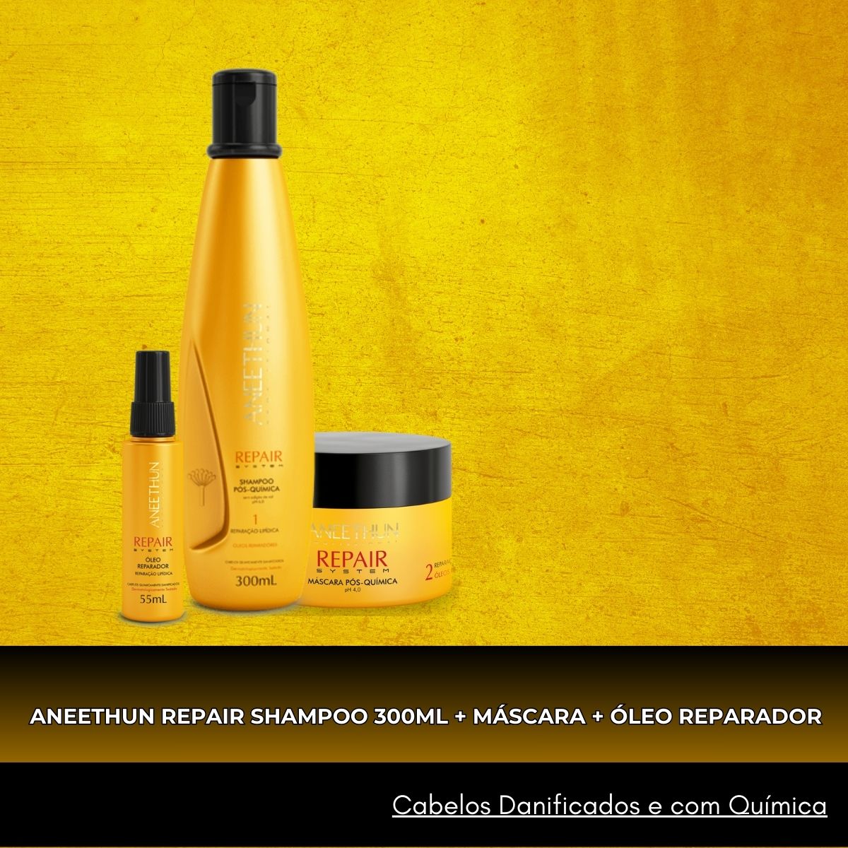 Kit Aneethun Repair Shampoo 300 ml + Máscara 250 g + Oleo Reparador 55 ml