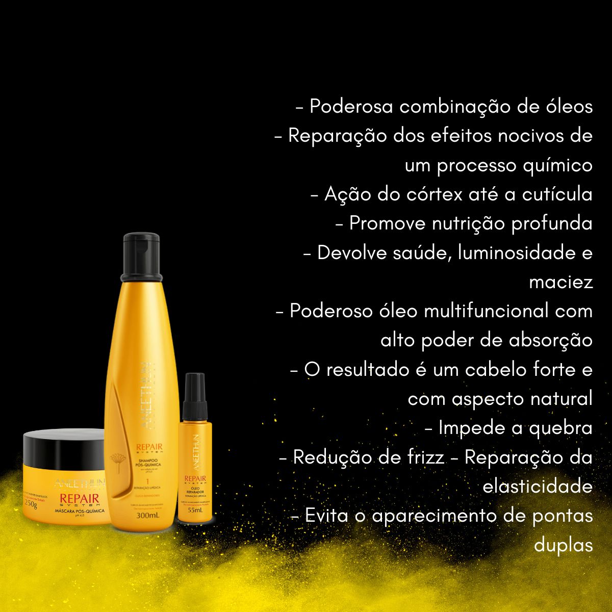 Kit Aneethun Repair Shampoo 300 ml + Máscara 250 g + Oleo Reparador 55 ml