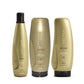 Kit Aneethun Blond Shampoo Silver 300 ml + Máscara 250 g + Finalizador 250 g