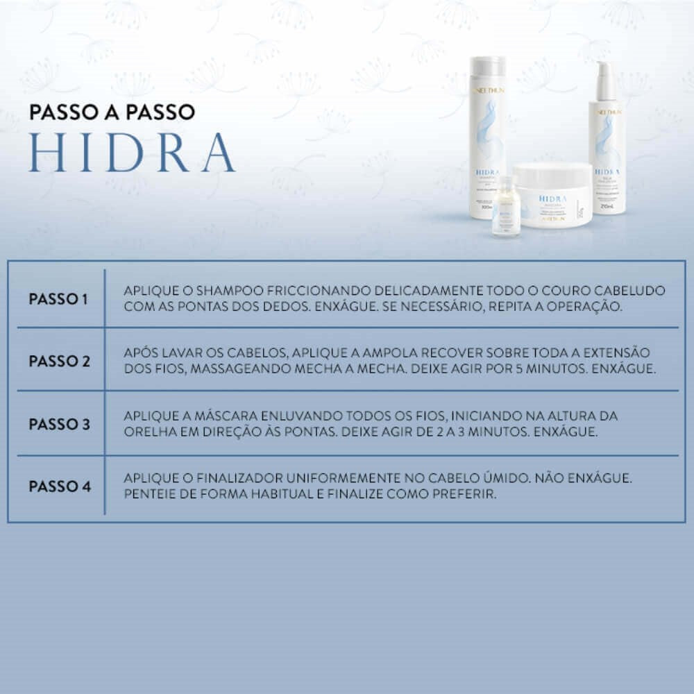 Kit Aneethun Hidra Shampoo 300 ml + Finalizador 210 ml