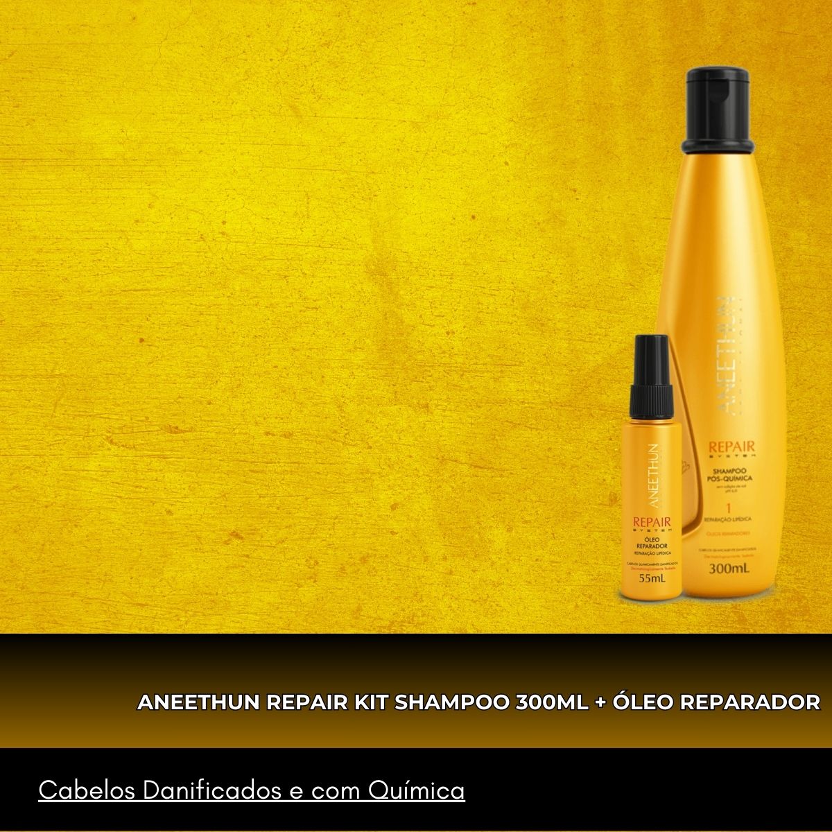 Kit Aneethun Repair Shampoo 300 ml + Oleo Reparador 55 ml