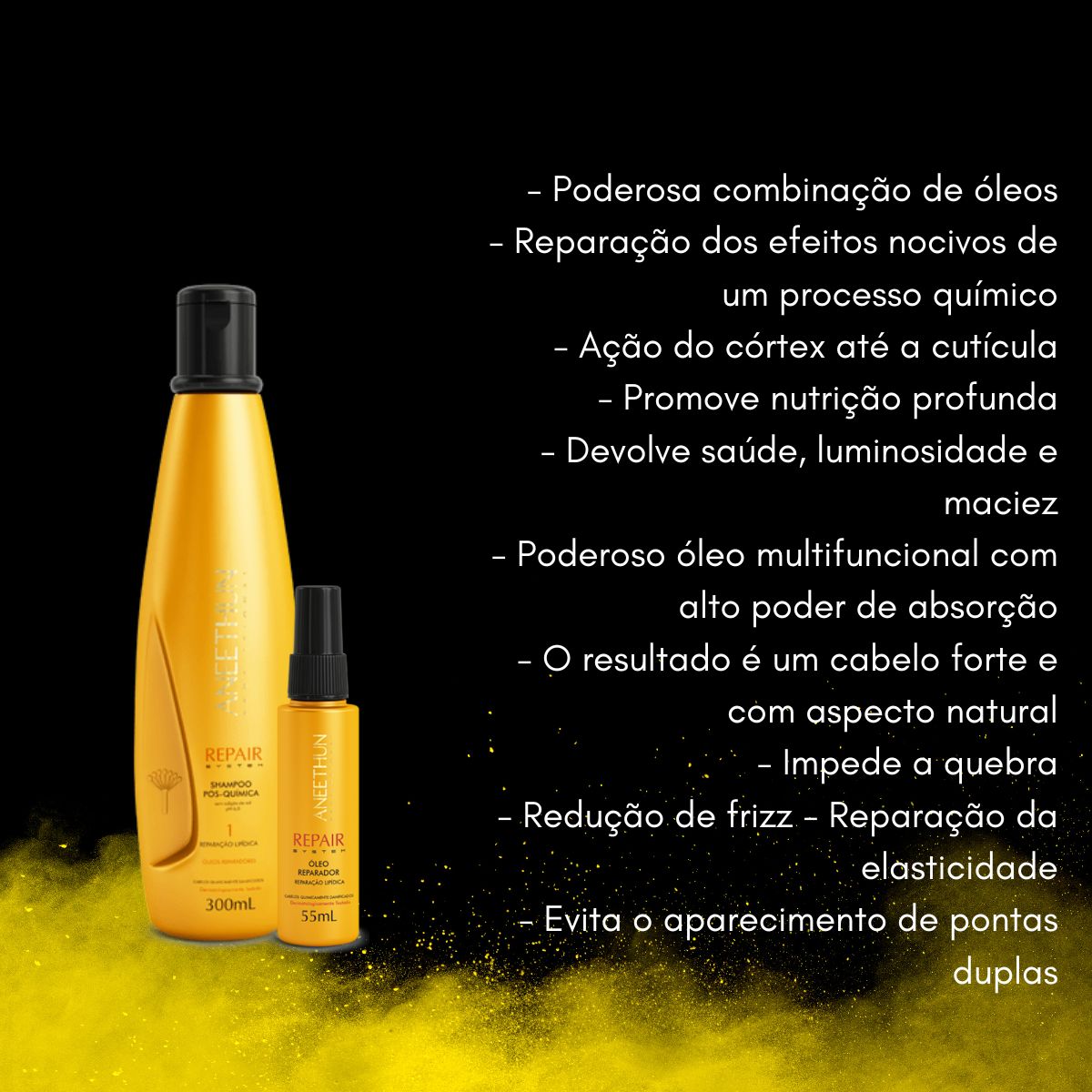 Kit Aneethun Repair Shampoo 300 ml + Oleo Reparador 55 ml