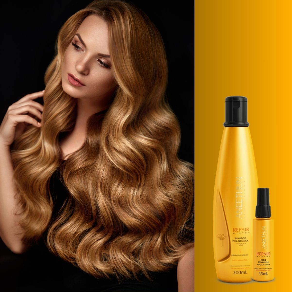 Kit Aneethun Repair Shampoo 300 ml + Oleo Reparador 55 ml