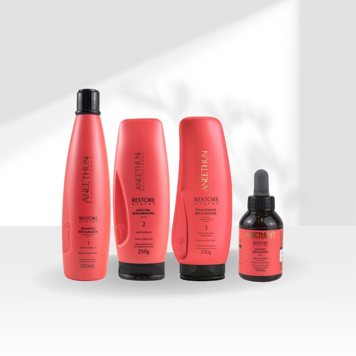 Kit Aneethun Restore Completo
