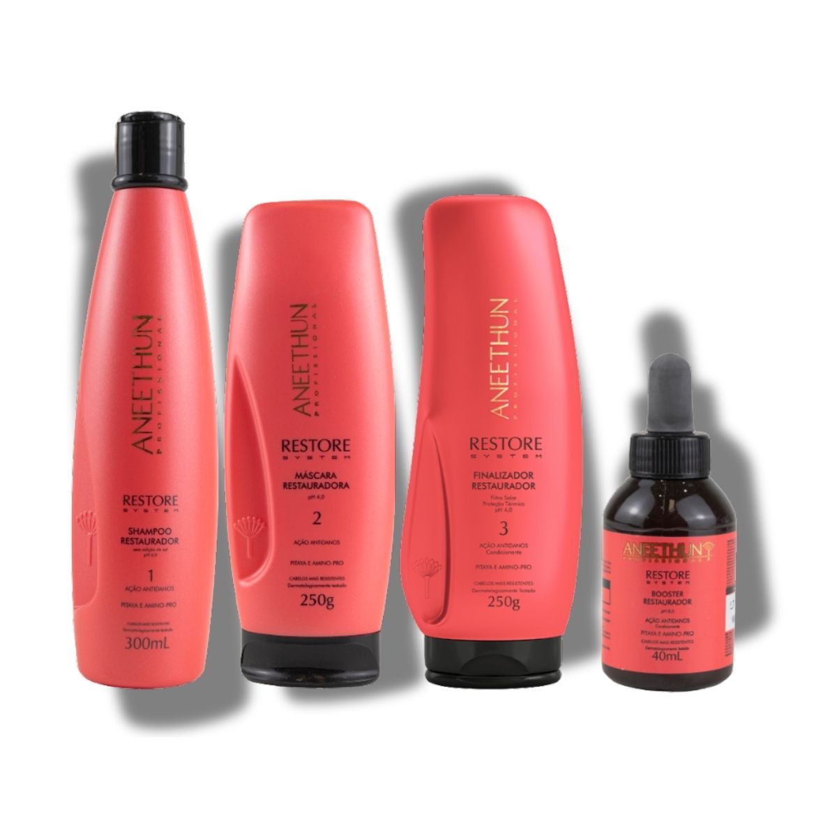 Kit Aneethun Restore Completo
