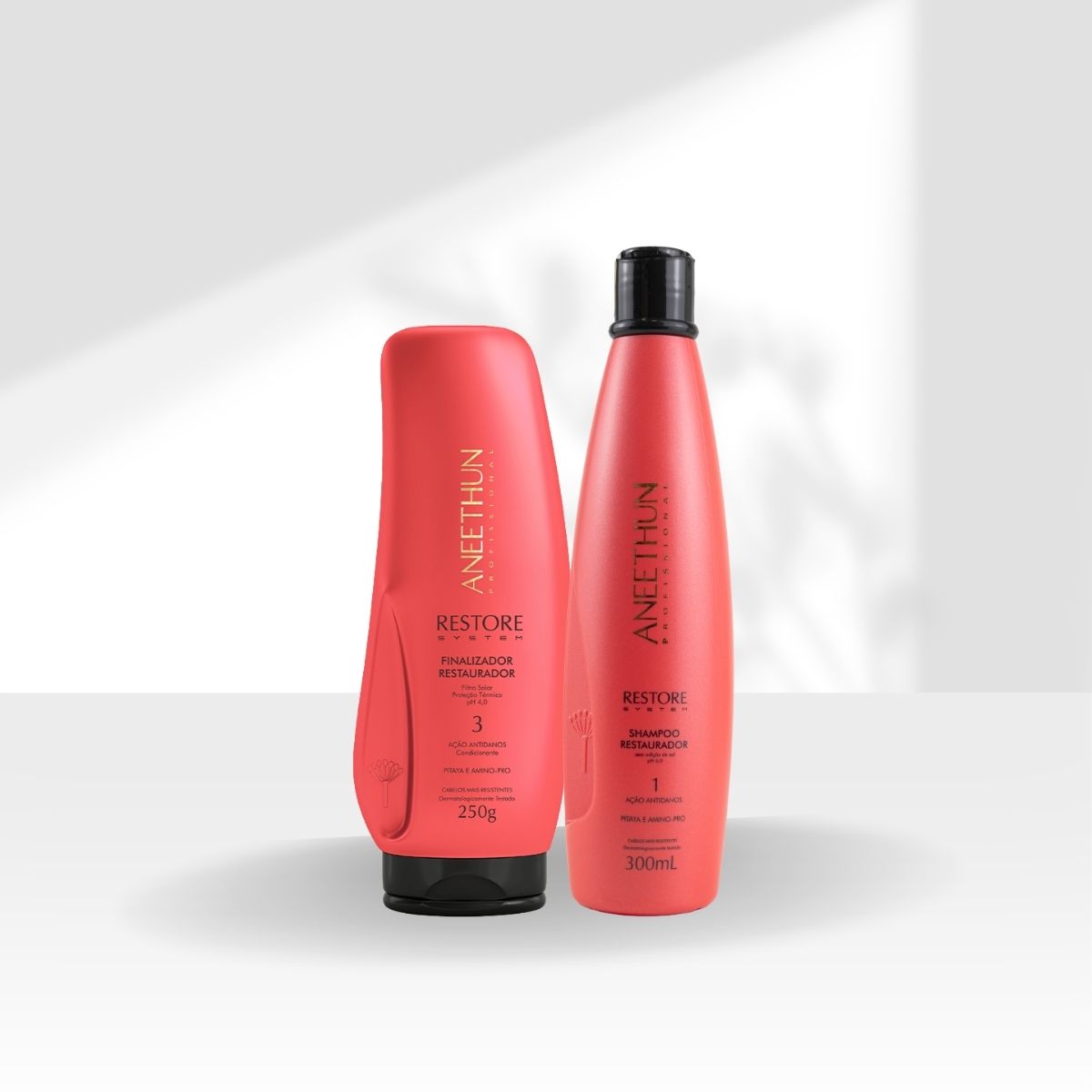 Kit Aneethun Restore Shampoo 300 ml + Finalizador 250 g