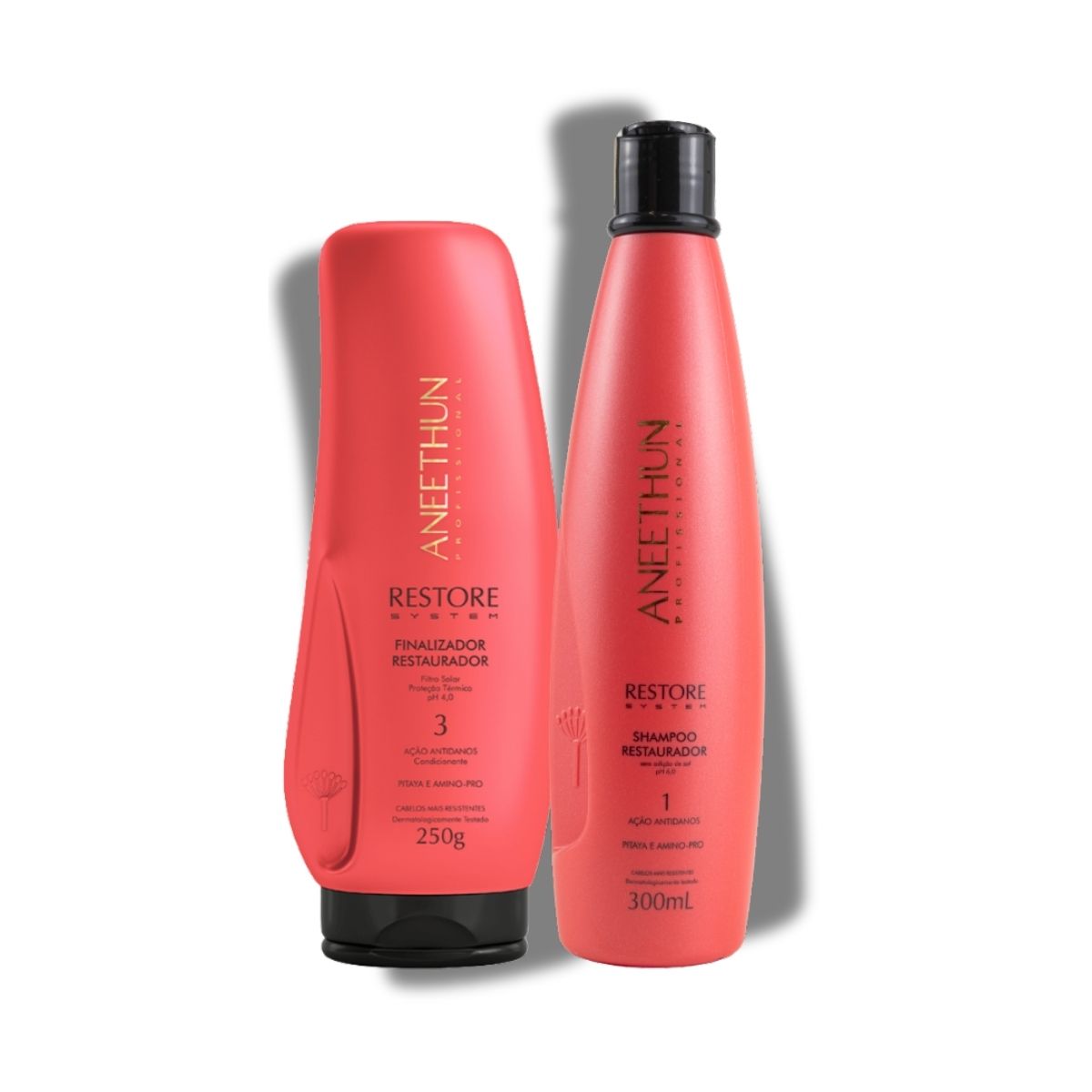 Kit Aneethun Restore Shampoo 300 ml + Finalizador 250 g