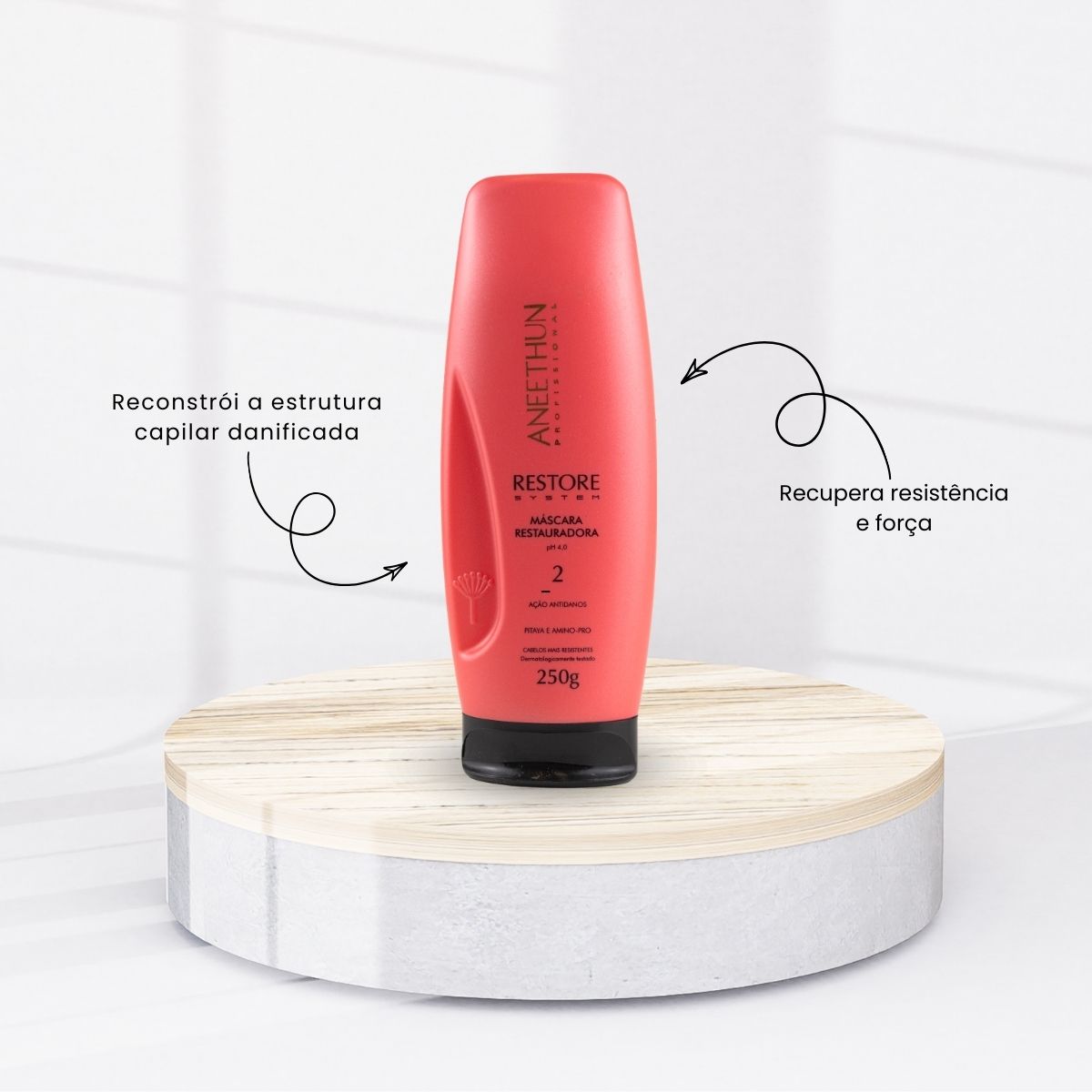 Kit Aneethun Restore Shampoo 300 ml + Máscara 250 g