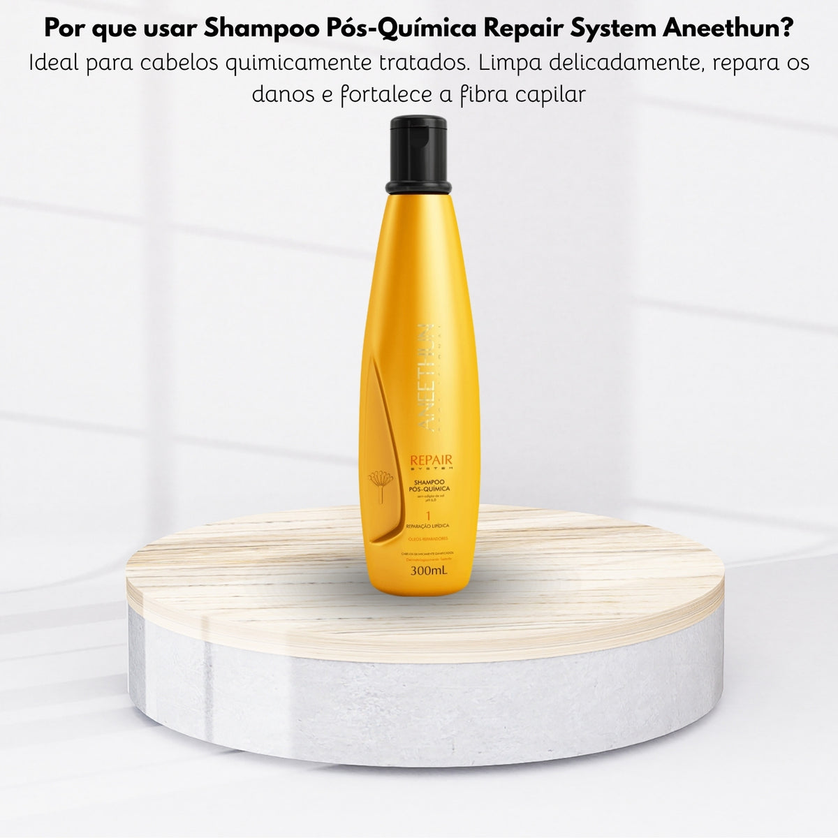 Shampoo Aneethun Repair Pós Química 300 ml