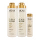 Kit Ykas Dna Repair Shampoo + Condicionador 1 Litro + Leave-in 250 ml