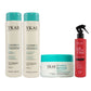 Kit Ykas Equilibrium System Pequeno Completo + Fabulous Hair All in One