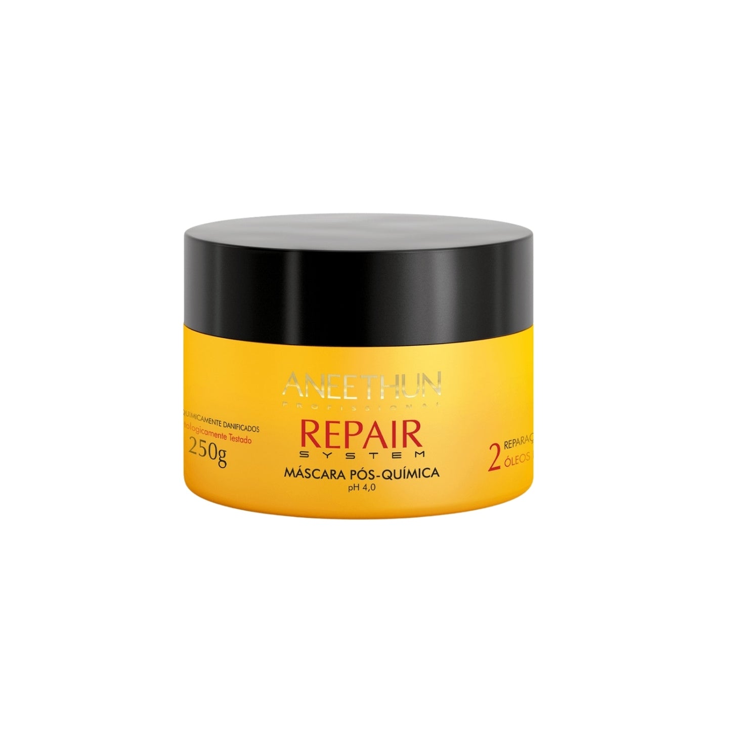 Máscara Aneethun Repair Pós Química 250 g